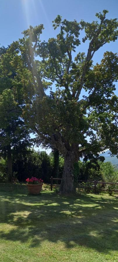 Poggio Al Sole Otel Fiesole Dış mekan fotoğraf