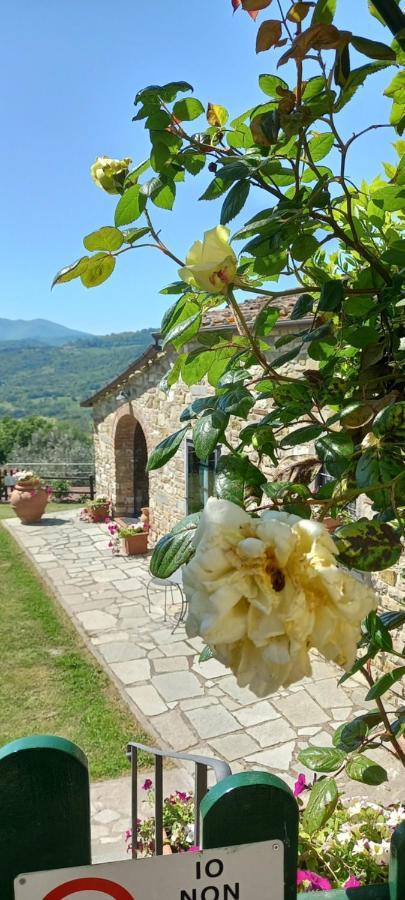 Poggio Al Sole Otel Fiesole Dış mekan fotoğraf